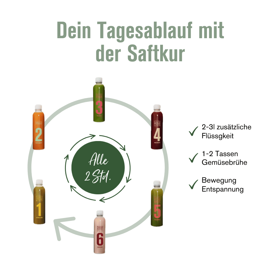 Tagesablauf einer Klassik Saftkur